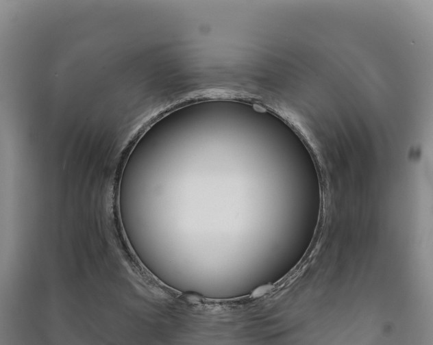 X0000091470297200708161134
