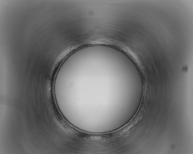 X0000091470298200708161134