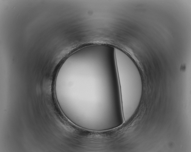 X0000091470299200708161134