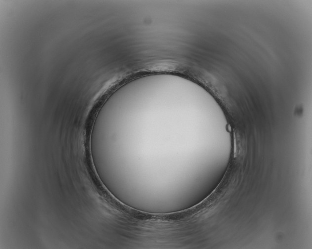 X0000091470300200708161133