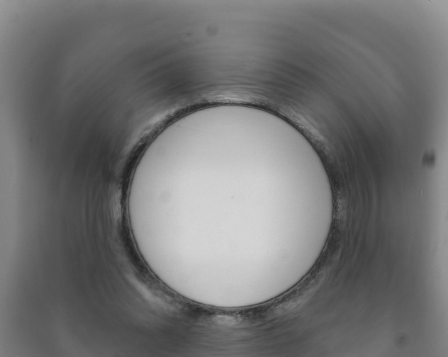 X0000091470302200708161133