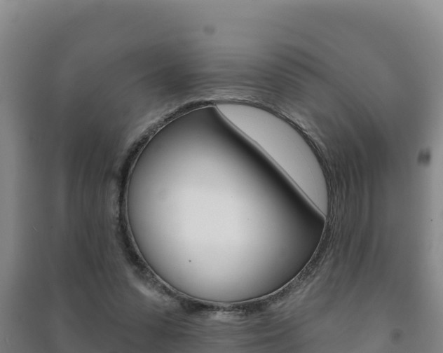 X0000091470303200708161133