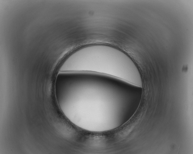 X0000091470304200708161133