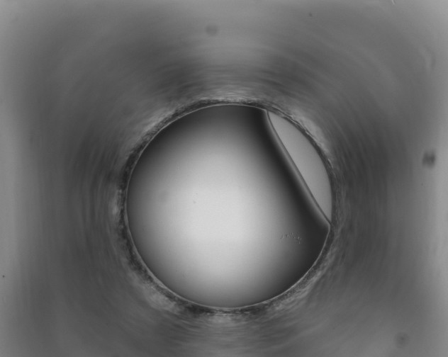 X0000091470305200708161133