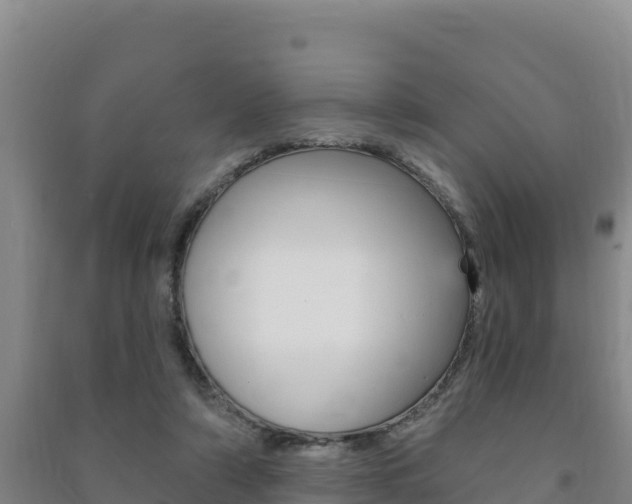X0000091470306200708161133