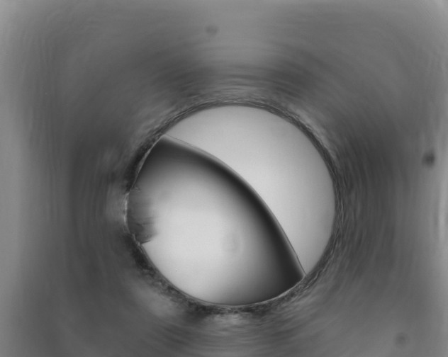 X0000091470307200708161133