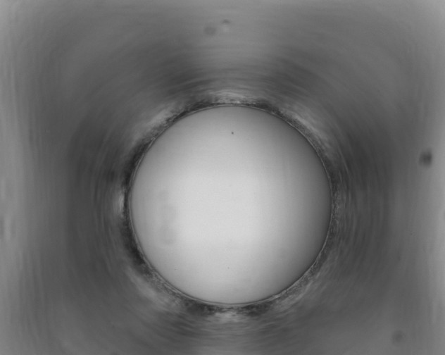 X0000091470310200708161133