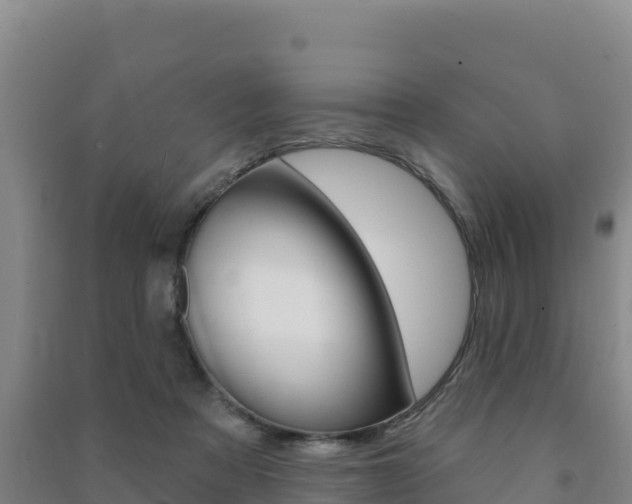 X0000091470313200708161133