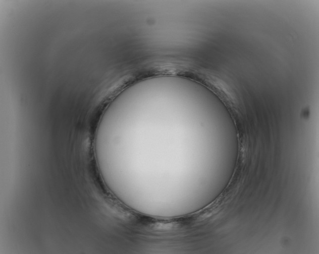 X0000091470314200708161133