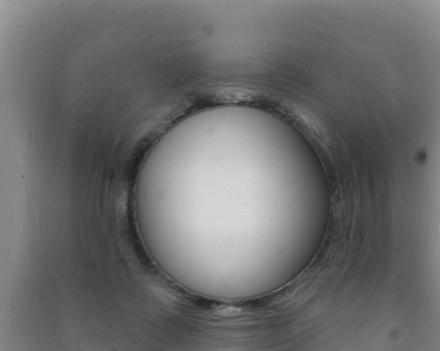 X0000091470315200708161133