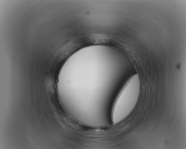 X0000091470316200708161133