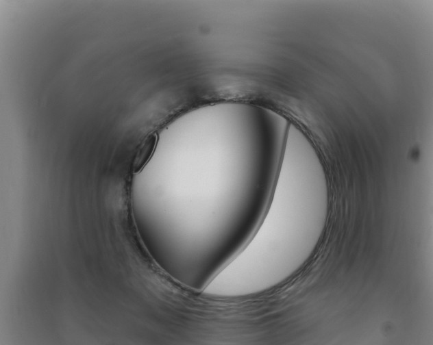 X0000091470317200708161133