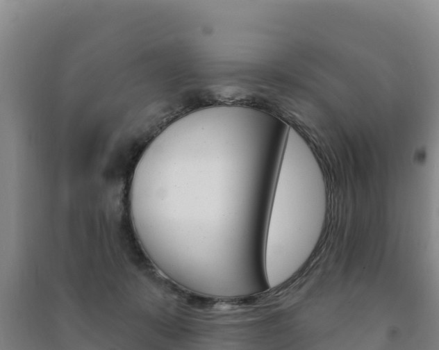 X0000091470319200708161133