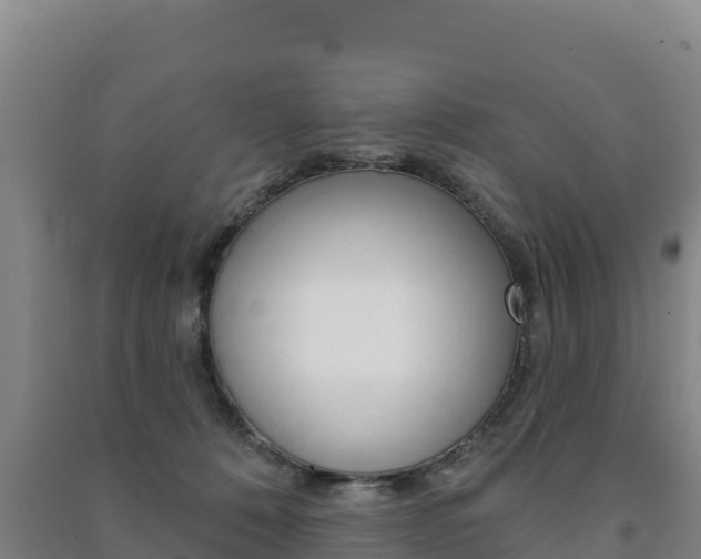 X0000091470320200708161133