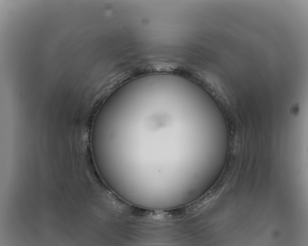 X0000091470321200708161133