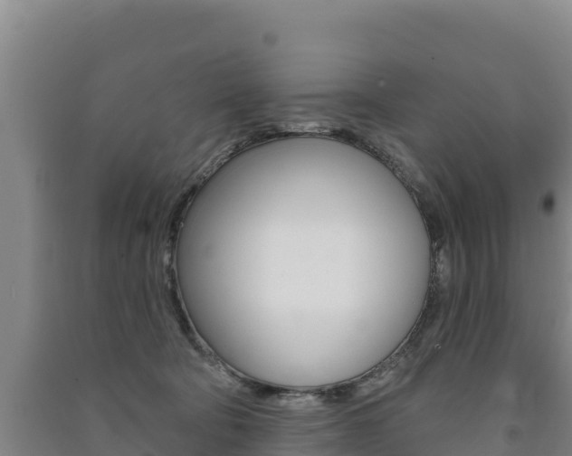 X0000091470322200708161133