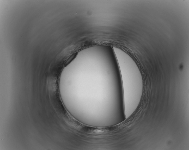 X0000091470323200708161133