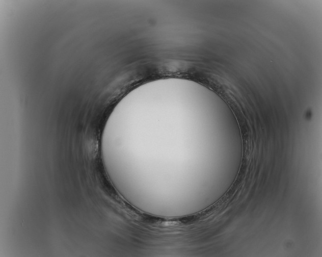 X0000091470324200708161133
