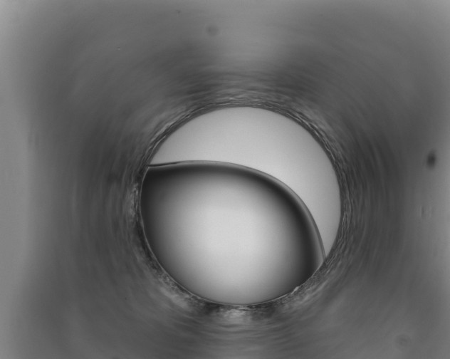 X0000091470325200708161133
