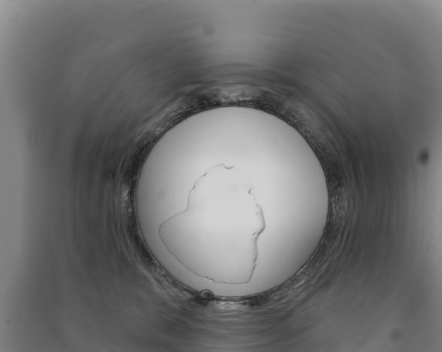 X0000091470327200708161133