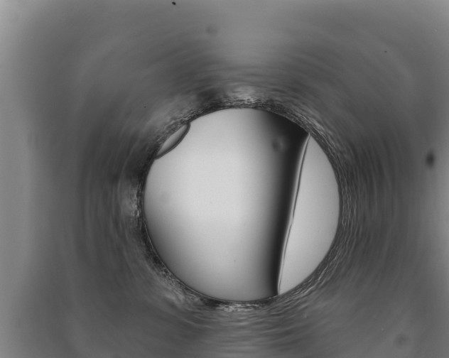 X0000091470331200708161133