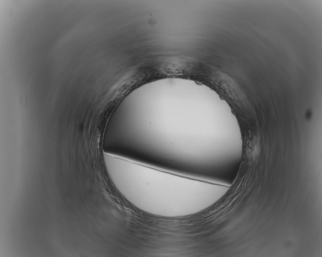 X0000091470332200708161133