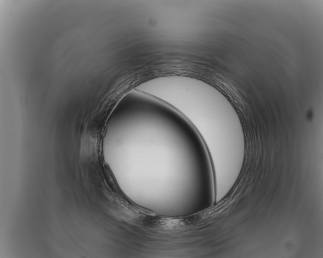 X0000091470333200708161133