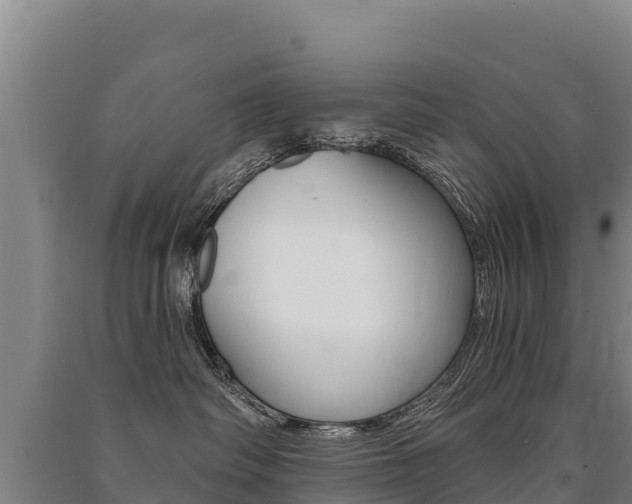 X0000091470334200708161133