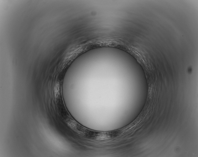 X0000091470335200708161133