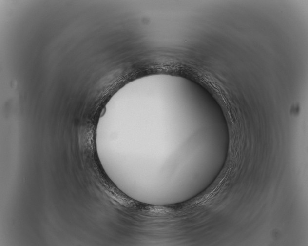 X0000091470336200708161133