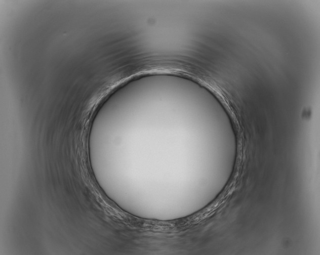 X0000091470337200708161132
