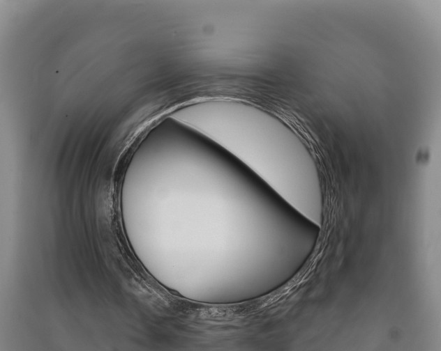 X0000091470338200708161132