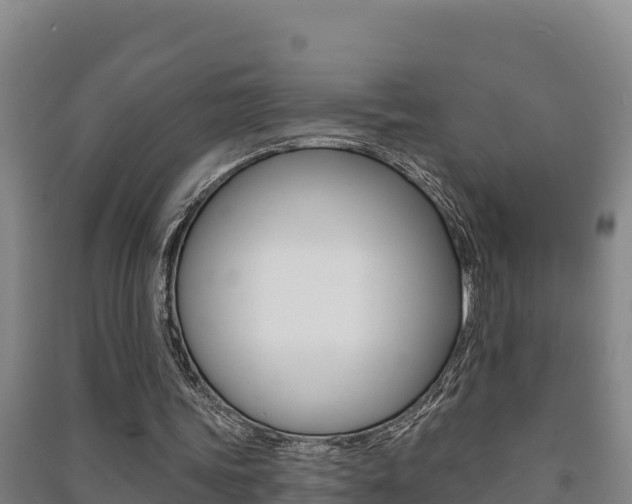 X0000091470339200708161132