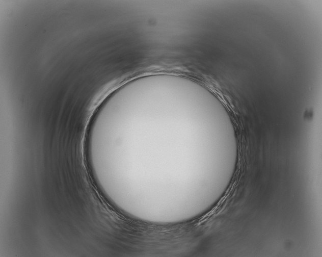 X0000091470340200708161132