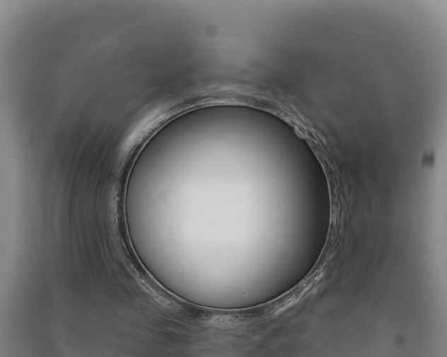 X0000091470341200708161132