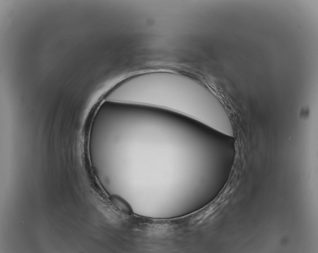 X0000091470342200708161132