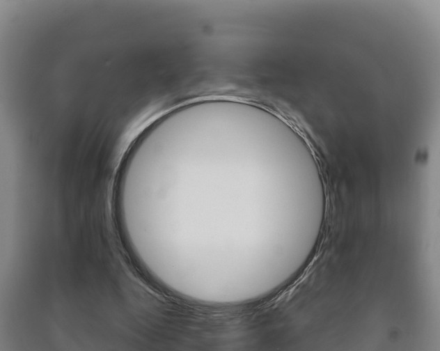 X0000091470344200708161132