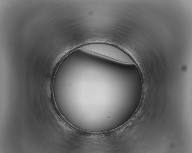 X0000091470345200708161132