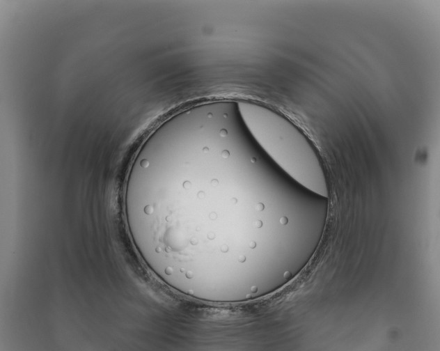 X0000091470347200708161132