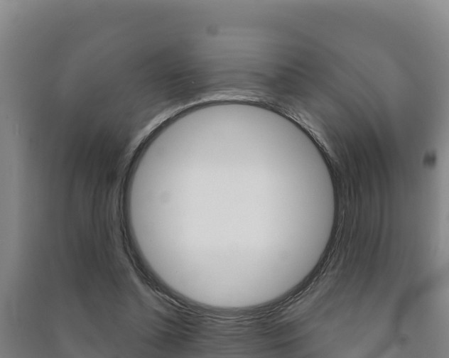 X0000091470348200708161132