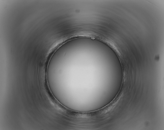 X0000091470349200708161132