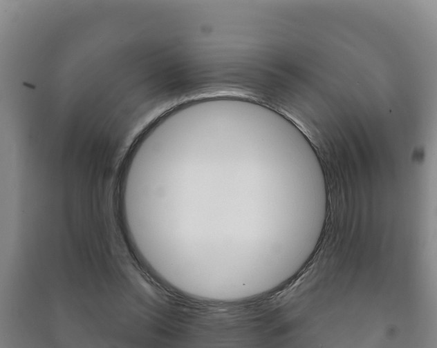 X0000091470350200708161132