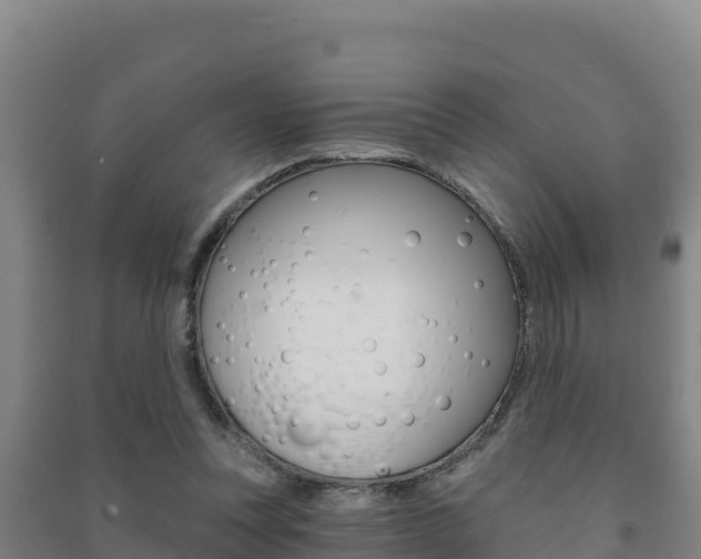 X0000091470351200708161132