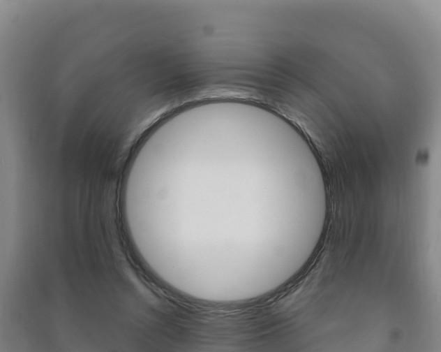 X0000091470352200708161132