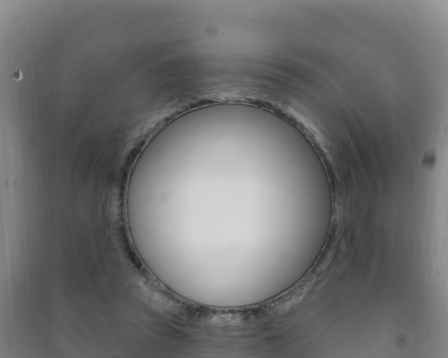 X0000091470353200708161132
