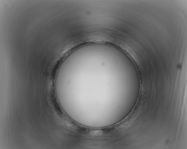 X0000091470355200708161132
