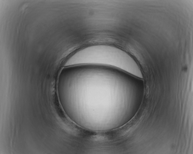 X0000091470356200708161133