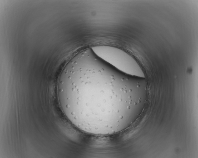 X0000091470359200708161133