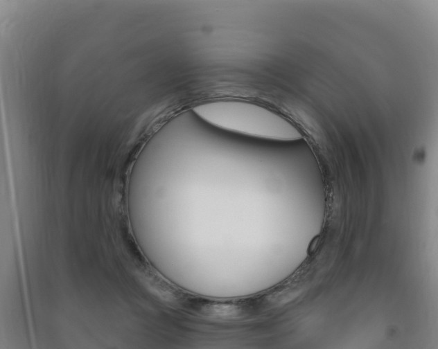 X0000091470361200708161133