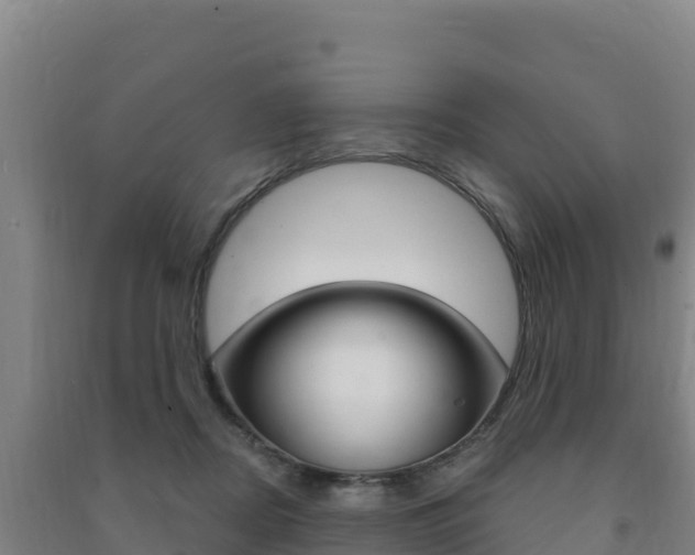 X0000091470362200708161133